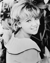 HAYLEY MILLS PRINTS AND POSTERS 160758