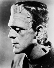 FRANKENSTEIN BORIS KARLOFF PROFILE CLOSE PRINTS AND POSTERS 160737