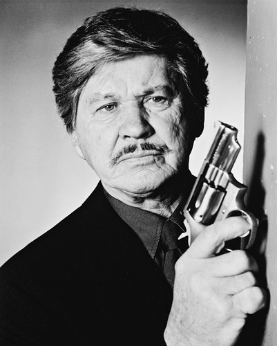 THE CRACKDOWN CHARLES BRONSON 24X36 POSTER DEATH WISH 4 