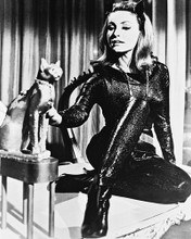 JULIE NEWMAR PRINTS AND POSTERS 160267