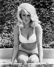 STELLA STEVENS PRINTS AND POSTERS 160144