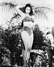 JULIE NEWMAR PRINTS AND POSTERS 160110