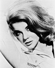 ANN-MARGRET PRINTS AND POSTERS 160005
