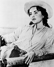 GIANT ELIZABETH TAYLOR PRINTS AND POSTERS 15994