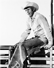 STEVE MCQUEEN PRINTS AND POSTERS 15471