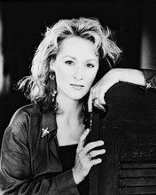 MERYL STREEP IN POSTCARDS FROM THE EDGE PRINTS AND POSTERS 15257