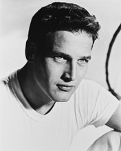 PAUL NEWMAN EARLY STUDIO PUBLICITY POSE PRINTS AND POSTERS 14948