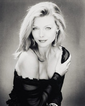 MICHELLE PFEIFFER THE FABULOUS BAKER BOYS BUSTY PRINTS AND POSTERS 13931