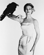 ALFRED HITCHCOCK THE BIRDS TIPPI HEDRON PRINTS AND POSTERS 13248