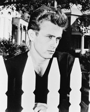EAST OF EDEN JAMES DEAN PRINTS AND POSTERS 13205