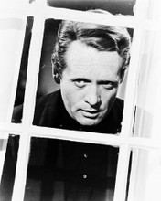 PATRICK MCGOOHAN LOOKING OUT WINDOWTHE PRISONER PRINTS AND POSTERS 12336