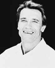 TWINS ARNOLD SCHWARZENEGGER PRINTS AND POSTERS 12260