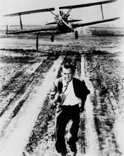 CARY GRANT CHASED PLANE NORTH BY NORTHWEST PRINTS AND POSTERS 12222
