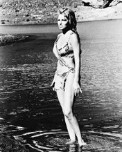 RAQUEL WELCH PRINTS AND POSTERS 12105