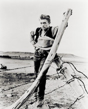 JAMES DEAN PRINTS AND POSTERS 12055