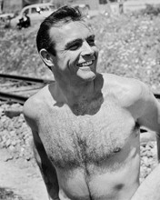 SEAN CONNERY BARECHESTED 1960'S PIN UP PRINTS AND POSTERS 11768