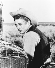JAMES DEAN PRINTS AND POSTERS 11730