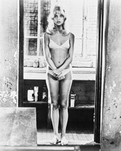 BUTTERFLIES ARE FREE GOLDIE HAWN BIKINI PRINTS AND POSTERS 11539