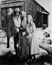 LITTLE HOUSE ON THE PRAIRIE PRINTS AND POSTERS 11481