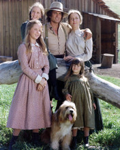 LITTLE HOUSE ON THE PRAIRIE CAST PRINTS AND POSTERS 248230