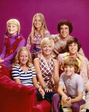 THE BRADY BUNCH PRINTS AND POSTERS 244349