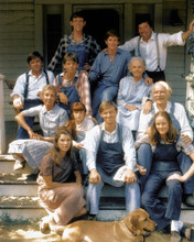 THE WALTONS TV CAST PRINTS AND POSTERS 252615