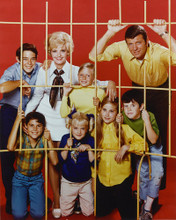 THE BRADY BUNCH RARE EARLY CAST POSE PRINTS AND POSTERS 256136