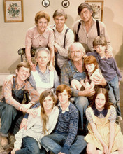 THE WALTONS PRINTS AND POSTERS 243849