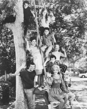 The Brady Bunch Posters And Photos 172446 Movie Store The Brady Bunch Posters And Photos 172446 Movie Store