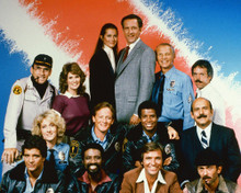HILL STREET BLUES PRINTS AND POSTERS 254503