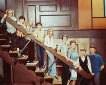 THE BRADY BUNCH TV CAST ON STAIRS PRINTS AND POSTERS 238727