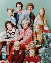 THE BRADY BUNCH CAST TV PRINTS AND POSTERS 235417