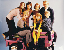 THE PARTRIDGE FAMILY CAST TV DAVID CASSIDY PRINTS AND POSTERS 264648