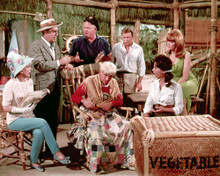 GILLIGAN'S ISLAND CAST SHOT PRINTS AND POSTERS 256719