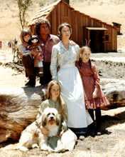 LITTLE HOUSE ON THE PRAIRIE PRINTS AND POSTERS 274628