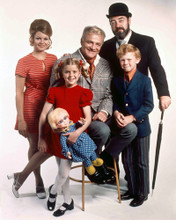 FAMILY AFFAIR BRIAN KEITH & CAST PRINTS AND POSTERS 256689