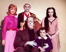 THE MUNSTERS PRINTS AND POSTERS 255758