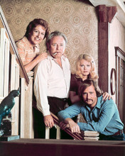 ALL IN THE FAMILY CAST PRINTS AND POSTERS 259814