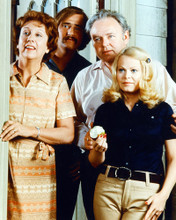 ALL IN THE FAMILY PRINTS AND POSTERS 266647