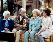 THE GOLDEN GIRLS PRINTS AND POSTERS 283849