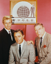 THE MAN FROM U.N.C.L.E. VAUGHN & MCCALLUM PRINTS AND POSTERS 210459