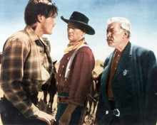 THE SEARCHERS PRINTS AND POSTERS 267511