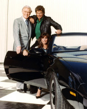 KNIGHT RIDER PRINTS AND POSTERS 274612