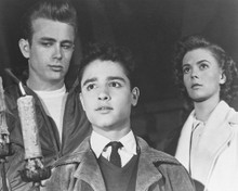 REBEL WITHOUT A CAUSE PRINTS AND POSTERS 190468