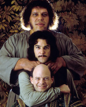 THE PRINCESS BRIDE PRINTS AND POSTERS 284212