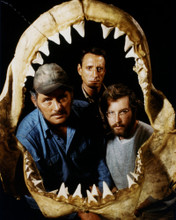 JAWS PRINTS AND POSTERS 286298