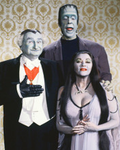 THE MUNSTERS PRINTS AND POSTERS 221722