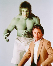 THE INCREDIBLE HULK PRINTS AND POSTERS 244343