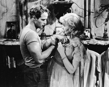 MARLON BRANDO & VIVIEN LEIGH A STREETCAR NAMED DESIRE PRINTS AND POSTERS 170351