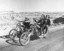 EASY RIDER PRINTS AND POSTERS 176244